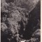 Valea Galbenei (1936, necirculata)