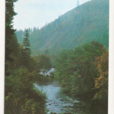 RF23 -Carte Postala- Tusnad, Valea Oltului, necirculata