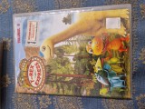 Dvd copii T-rex vol. 8