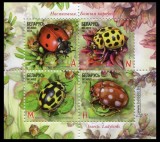 BELARUS 2015 FAUNA AMFIBIENI BROASTEINSECTE BUBURUZE