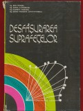Jean Moncea, Ileana Alamoreanu, E Vasilescu, D Trandafir Constantinescu, "Desfasurarea suprafetelor" , 1975