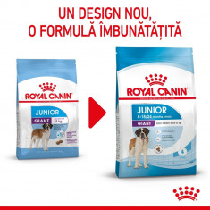 Royal Canin Giant Junior hrană uscată câine junior etapa 2 de creștere, 15kg