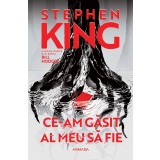 Ce-am găsit al meu să fie (Seria BILL HODGES partea a II-a ed. 2024) - Stephen King