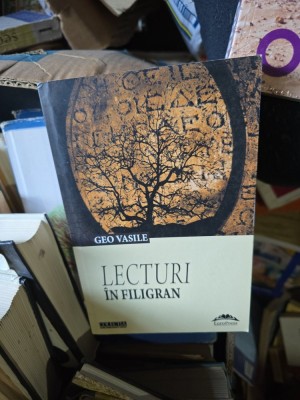 Lecturi &amp;icirc;n filigran - Geo Vasile foto