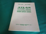 ATLAS DE ANATOMIA OMULUI * SISTEMUL NERVOS CENTRAL / VIOREL RANGA, RADU DUMITRU / 1993 *J