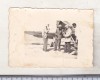 Bnk foto Aviatie WW II - aviatori langa avion IAR 27, Alb-Negru, Romania 1900 - 1950, Militar
