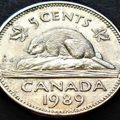 Moneda 5 CENTI - CANADA, anul 1989 * cod 3938
