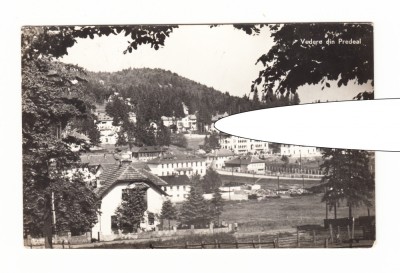 CP Predeal - Vedere, RPR, circulata 1962, stare buna foto