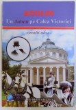 UN JOBEN PE CALEA VICTORIEI de ACULIN TANASE , ilustratii de BOGDAN PETRY , 2016 ,DEDICATIE