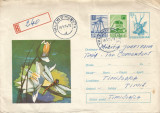 Romania, Libelula, plic circulat intern, 1974