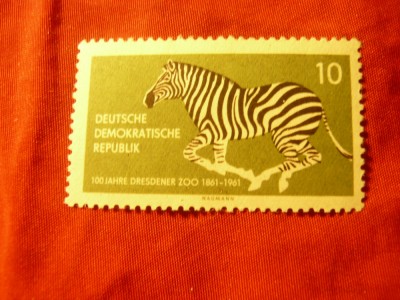 Timbru DDR 1961 - 100 Ani Zoo - Zebra , val. 10pf foto