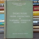 &Icirc;ndrumări Privind Contractarea și &Icirc;ngrășarea Animalelor pentru Tăiere