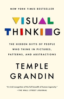 Visual Thinking: The Hidden Gifts of People Who Think in Pictures, Patterns, and Abstractions foto