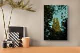Tablou Canvas, "Frunziș &icirc;n lumină caldă de seară", Copaci, &Icirc;nălțime, Frunziș, Cer, Verde, Siluetă, Vedere, Natură, Răgaz, Lumină, Tufișuri., 26 x 39 c