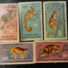Serie timbre fauna animale maimute stampilate REPUBLICA CENTRAFICANA