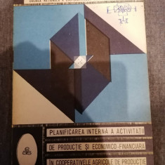 Planificarea interna a activitatii de productie si economico-financiara