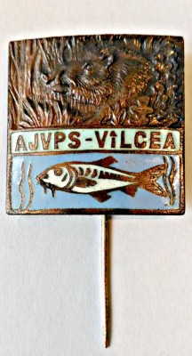 INSIGNA AJVPS VALCEA VANATOARE PESCUIT AGVPS GVPS foto