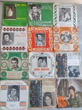Lot 66 discuri vinil mici