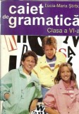 Cumpara ieftin Caiet de gramatica. Clasa a VI-a - Lucia-Maria Stirbu