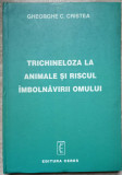 TRICHINELOZA LA ANIMALE SI RISCUL IMBOLNAVIRII OMULUI-GHEORGHE C. CRISTEA