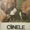 Ciinele, prietenul nostru. ABC canin, Coriolan Neamtu