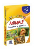 Cumpara ieftin 36 de Jetoane - Animale domestice si salbatice