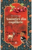 Amintiri din copilarie - Ion Creanga