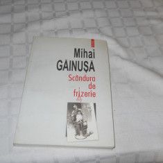 SCANDURA DE FRIZERIE - MIHAI GAINUSA , 2010, CARTE NOUA, Ed. Polirom