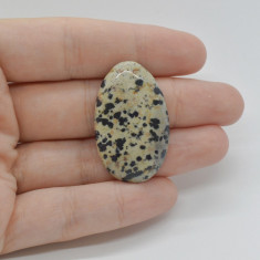 Cabochon jasp dalmatian 36x22x5mm c110