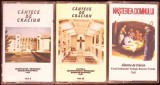 LOT 3 CASETE AUDIO MUZICA CORUL TEOLOGIC ROMANO-CATOLIC IASI-281456