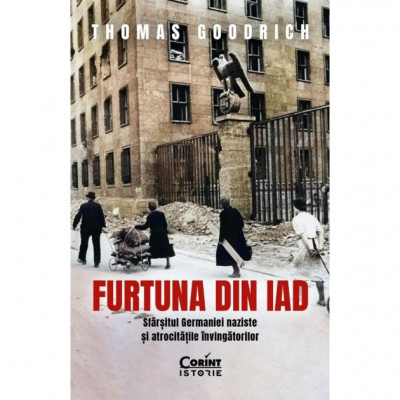 Furtuna din iad - Thomas Goodrich foto