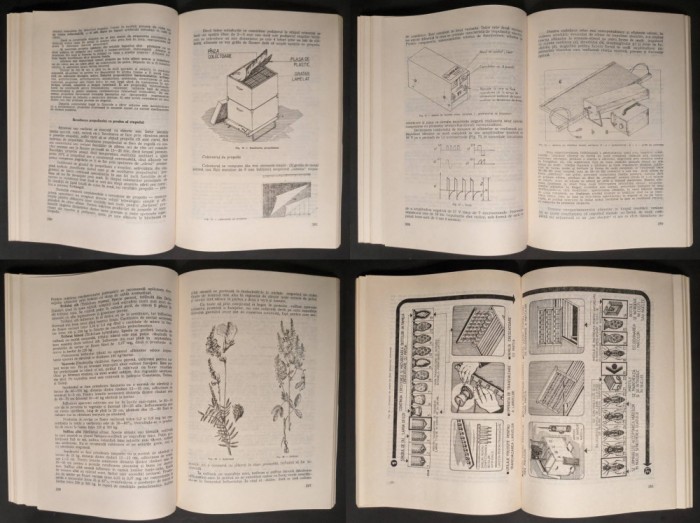 1986 APICULTURA STUPARIT &ndash; CRESTEREA ALBINELOR Manualul Apicultorului 399 pag 97 figuri