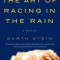 The Art of Racing in the Rain