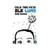Cele trei fe&Aring;&pound;e ale lunii - Sally Gardner
