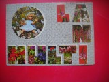 HOPCT 25089 FELICITARE ANIVERSARA -LA MULTI ANI -PAPUSA -CP VECHE -IP--INTREG POSTAL - ROMANIA - CIRCULATA