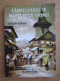 Campulungul in marturiile vremii Adrian Savoiu