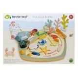 Colectia mea de pietre, din lemn premium - My little rock pool - Tender Leaf Toys