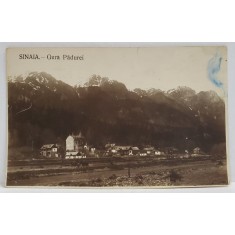 SINAIA , GURA PADUREI , CARTE POSTALA , INCEPUTUL SEC. XX