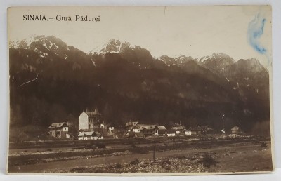 SINAIA , GURA PADUREI , CARTE POSTALA , INCEPUTUL SEC. XX foto