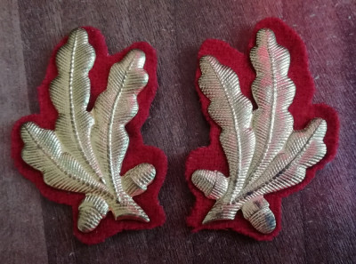 C7 8 - petlite militare - laur mare auriu - rosu infanterie - piesa de colectie foto