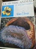 Le monde animal et ses Merveilles - Walt Disney
