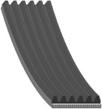 Febi Bilstein Curea transmisie cu caneluri