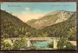 (265) CARTE POSTALA ROMANIA - BAILE HERCULANE - VALEA CERNEI - 1928