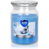 BISPOL Premium Line Anti Tabacco lum&acirc;nare parfumată 500 g