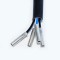 Sonda Lambda Universala 4 Fire / 770 Mm / M18*1.5 153669 74204