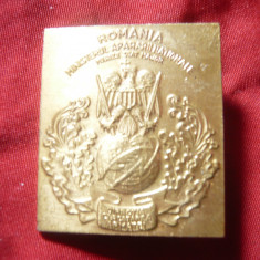 Insigna Militara MAPN Marele Stat Major -Dir.Cercetarea Armatei , metal ,h=2,5cm