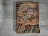 Istoria incepe la Sumer de S.N.Kramer