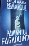 PAMANTUL FAGADUINTEI ERICH MARIA REMARQUE