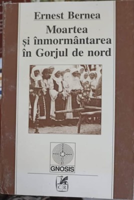 MOARTEA SI INMORMANTAREA IN GORJUL DE NORD-ERNEST BERNEA-256679 foto