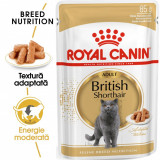 Cumpara ieftin Royal Canin British Shorthair Adult, hrana umeda pisica in sos/ gravy, 85 g